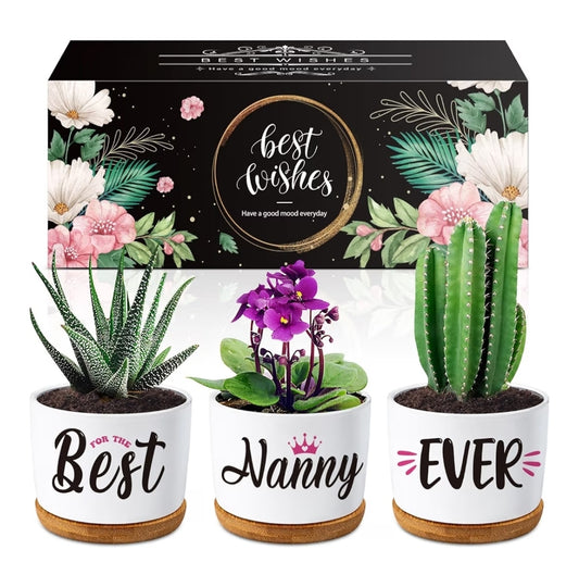 Best nanny Succulent Planters Nanny Gifts