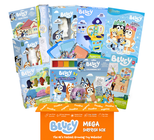 Bluey Mega Surprise Box