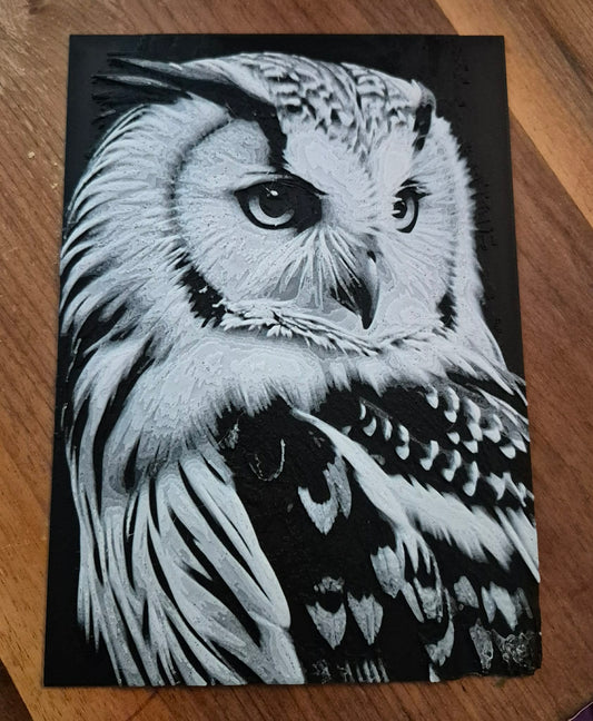 Owl hueforge