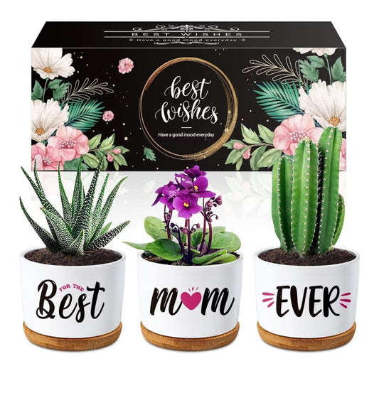 Best mum Succulent Planters mum Gift